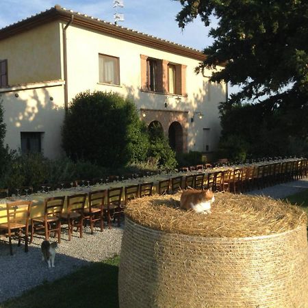 Agriturismo Giuncola & Granaiolo Риспешия Экстерьер фото