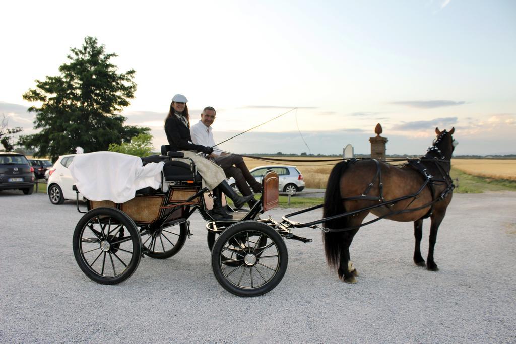 Agriturismo Giuncola & Granaiolo Риспешия Экстерьер фото