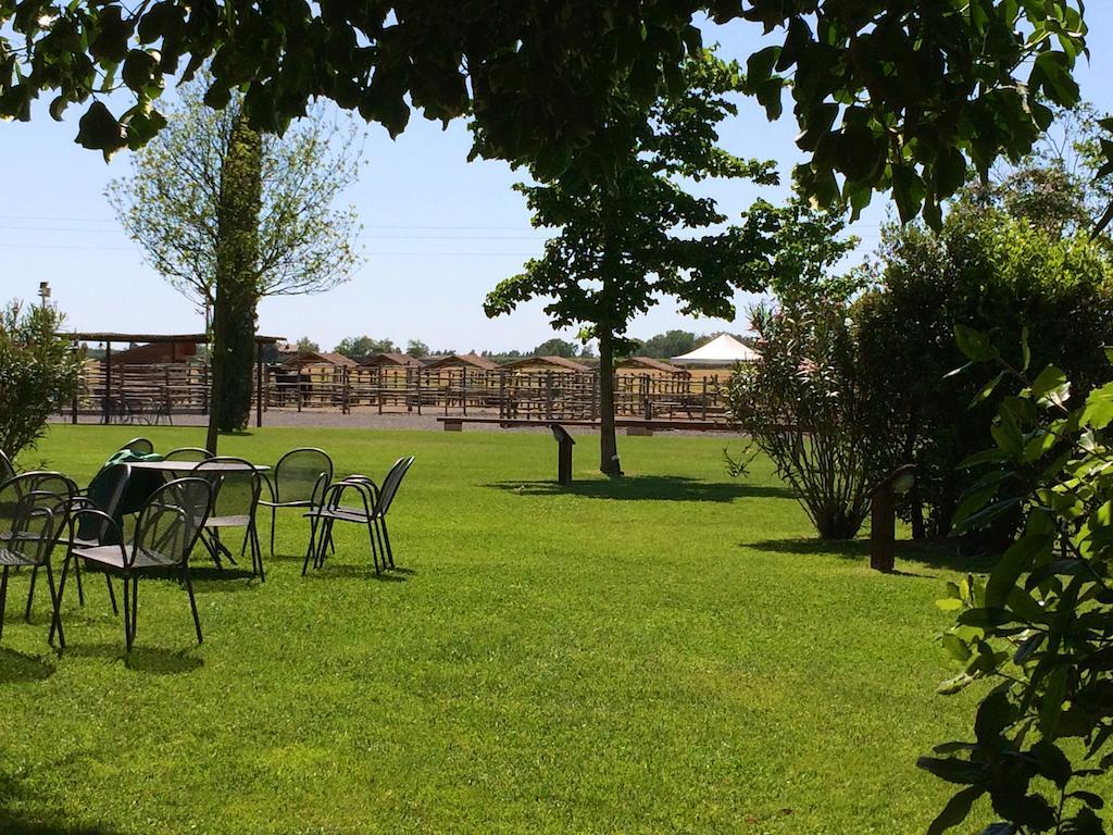 Agriturismo Giuncola & Granaiolo Риспешия Экстерьер фото
