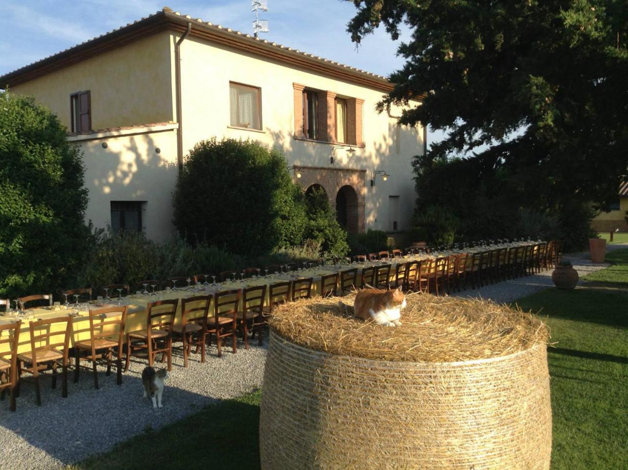 Agriturismo Giuncola & Granaiolo Риспешия Экстерьер фото